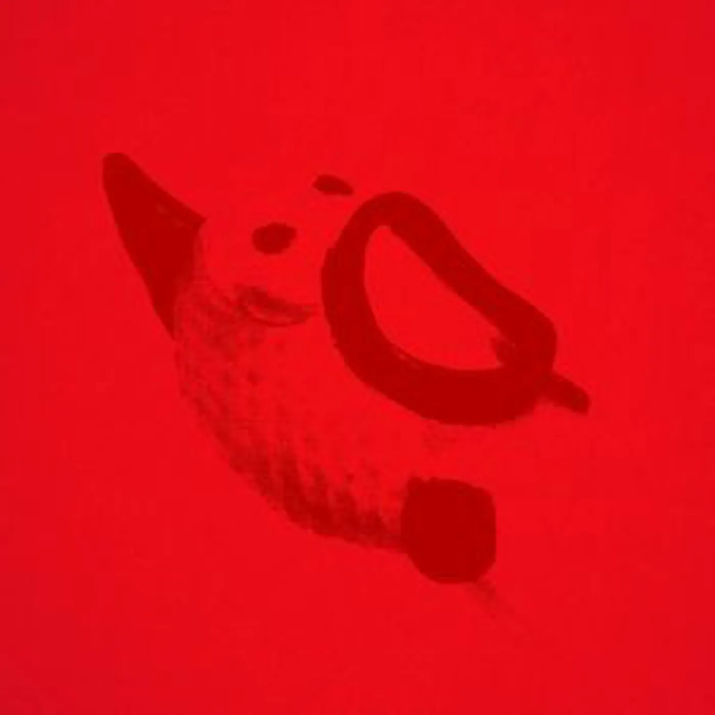 Bruuno Deconcentrazione Vinyl Record