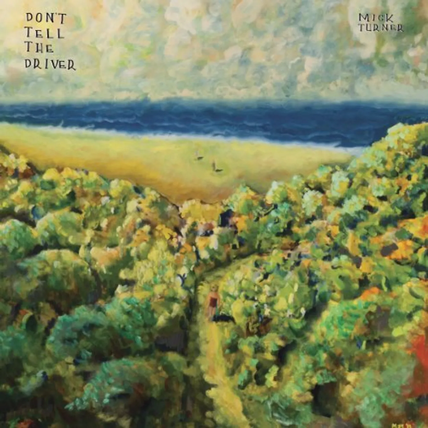 Mick Turner Don't Tell The Driver Vinyl Record