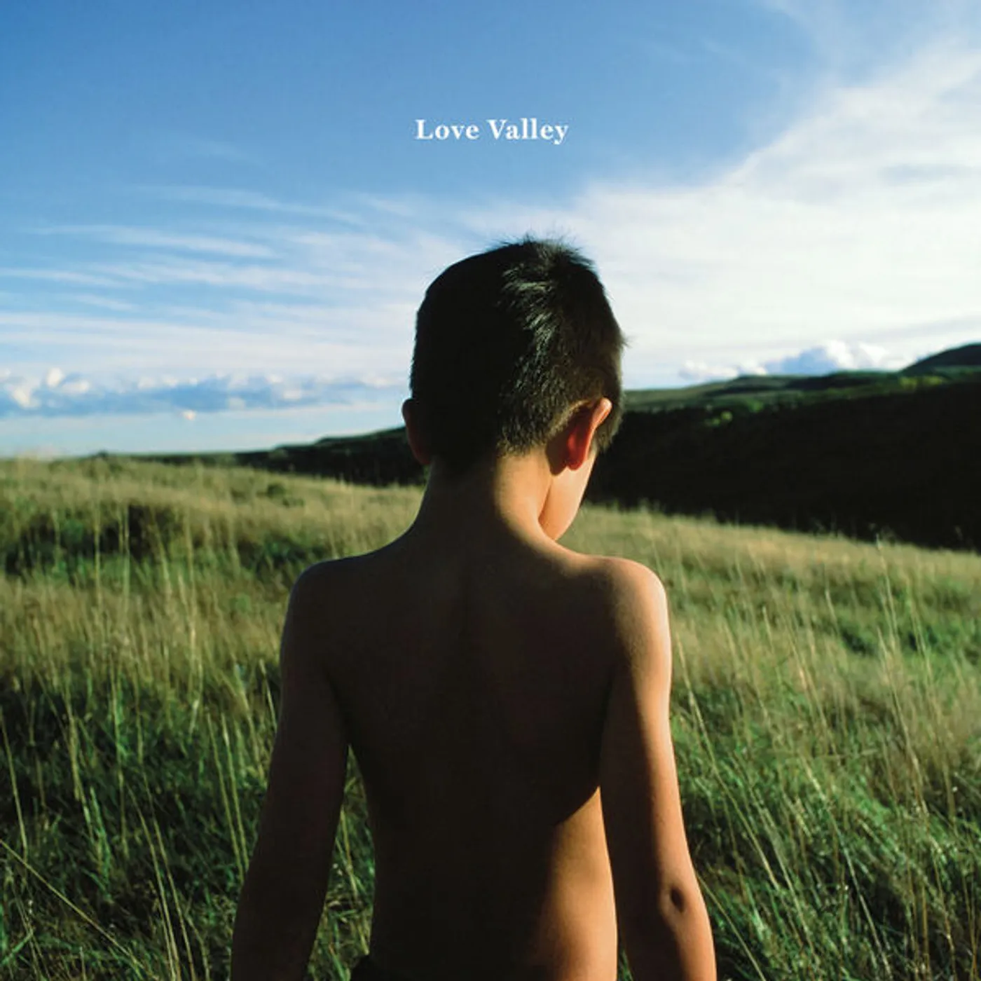 Michael Bernard Fitzgerald Love Valley Vinyl Record