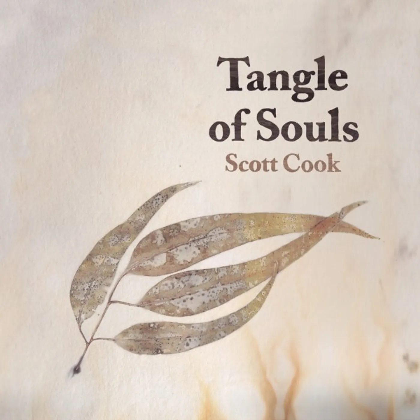 Scott Cook Tangle of Souls Vinyl Record