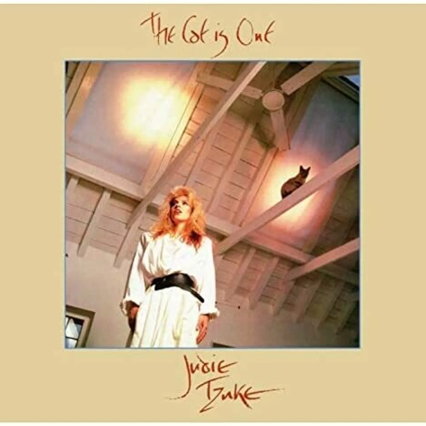 Judie Tzuke CAT IS OUT CD
