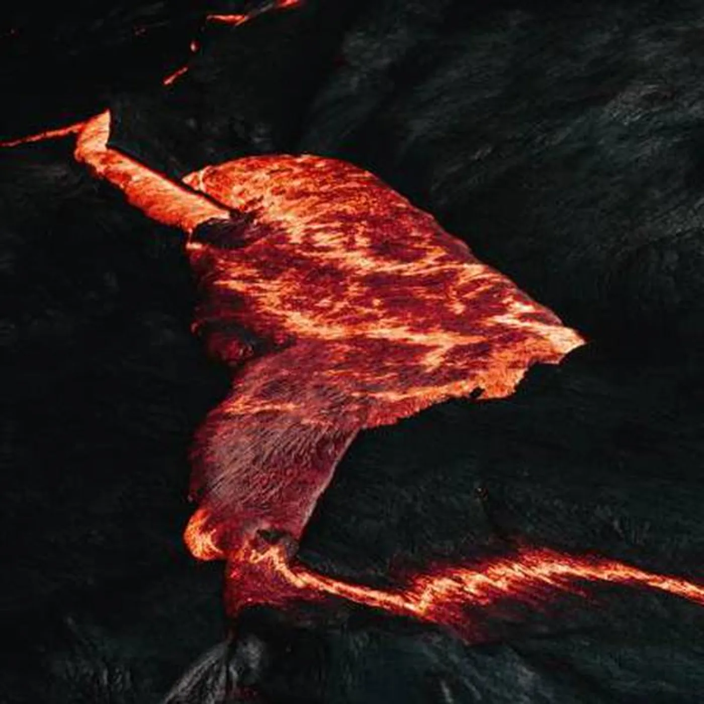 Randstad These Serpents Vinyl Record