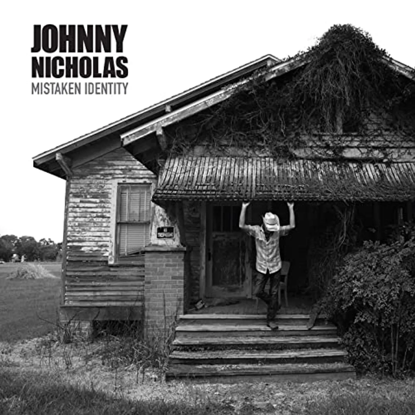 Johnny Nicholas Mistaken Identity Vinyl Record