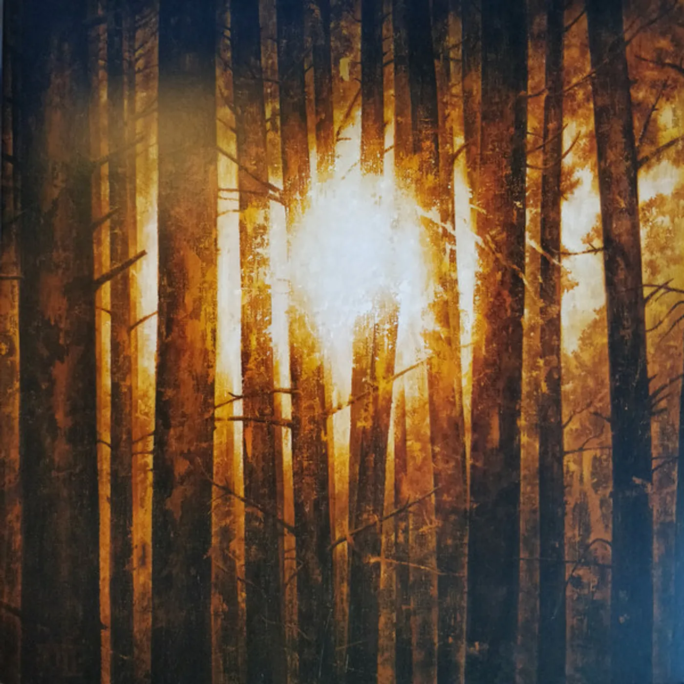 In Mourning ECHOES (3LP/SILVER VINYL) Vinyl Record