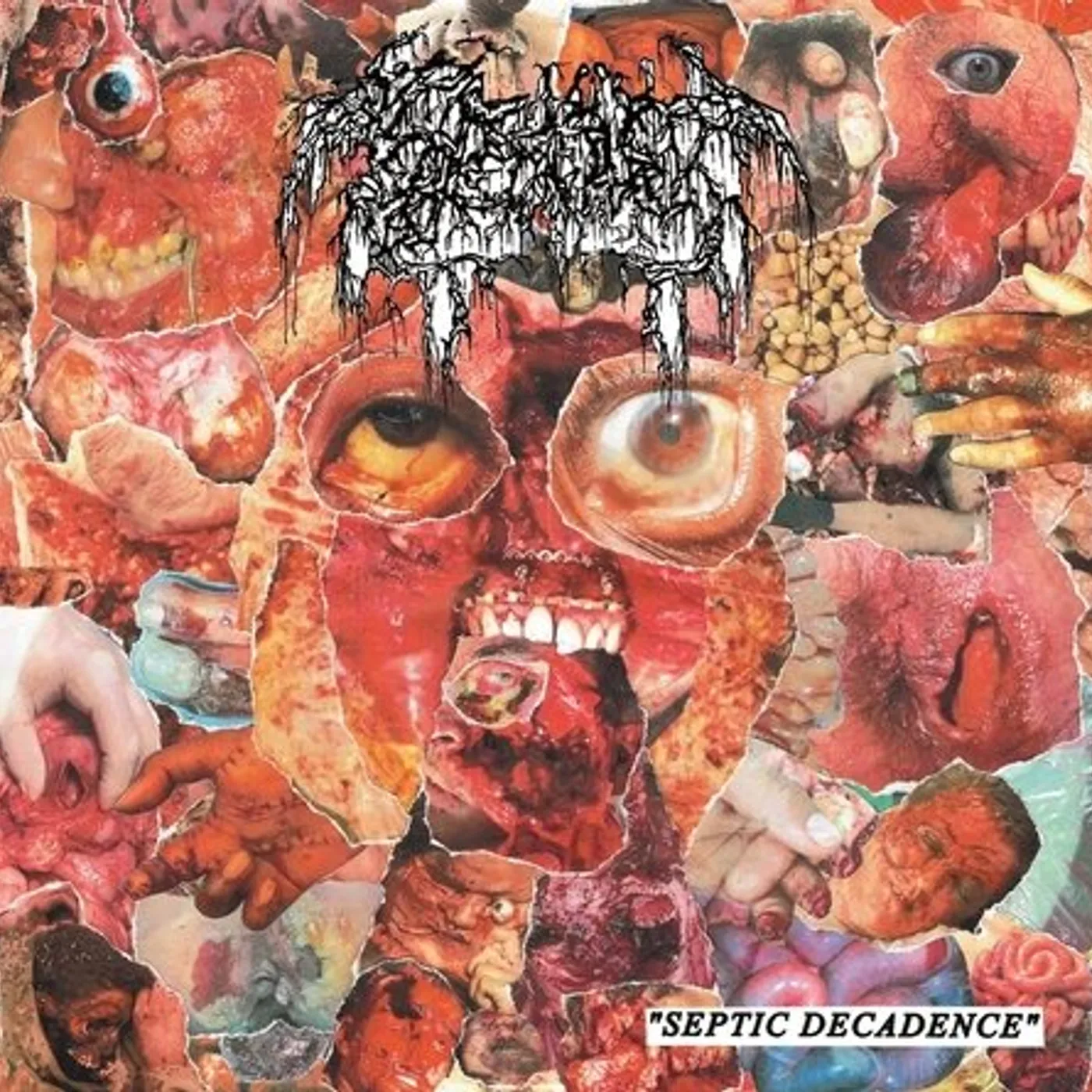 Septage Septic Decadence Vinyl Record