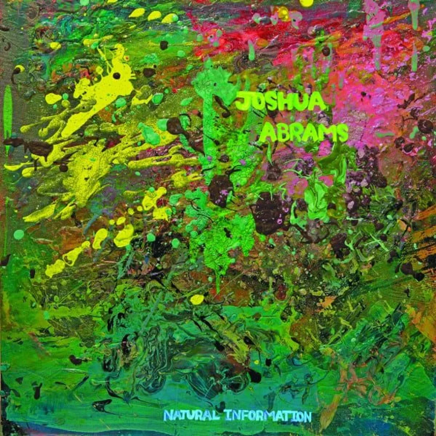 Joshua Abrams Natural Information Vinyl Record