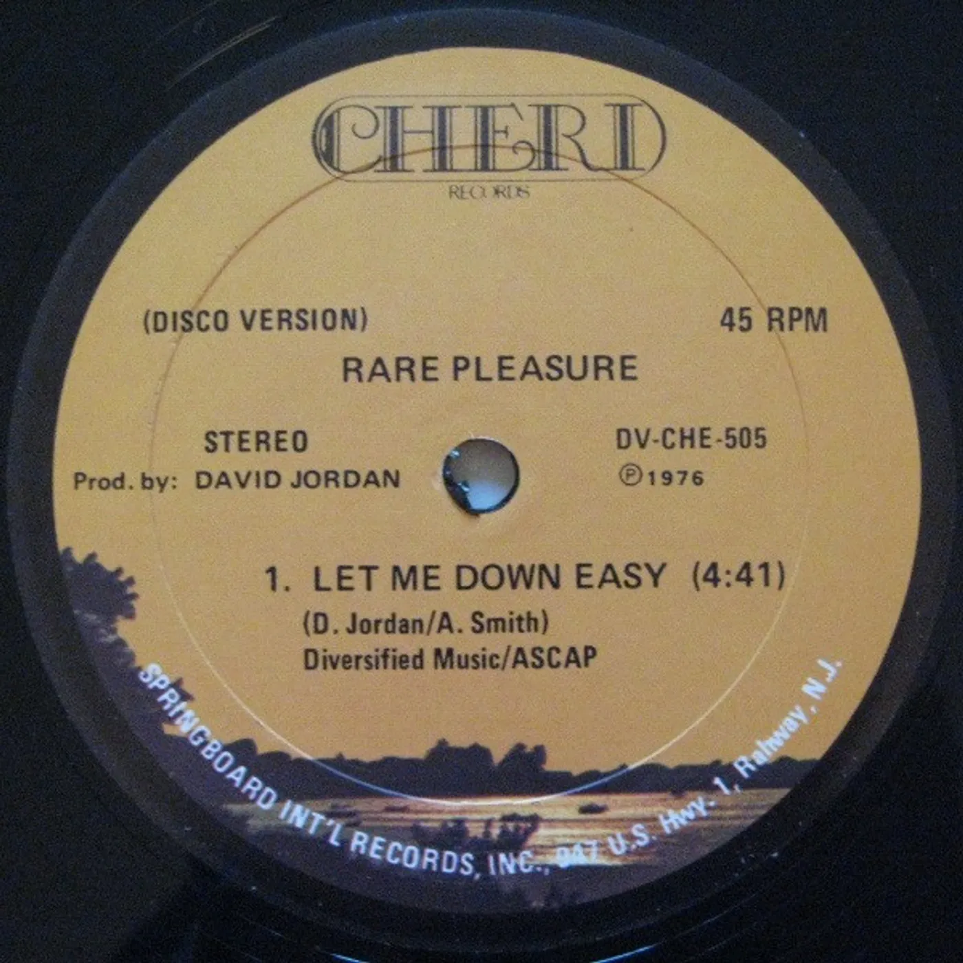 Rare Pleasure Let Me Down Easy Vinyl Record