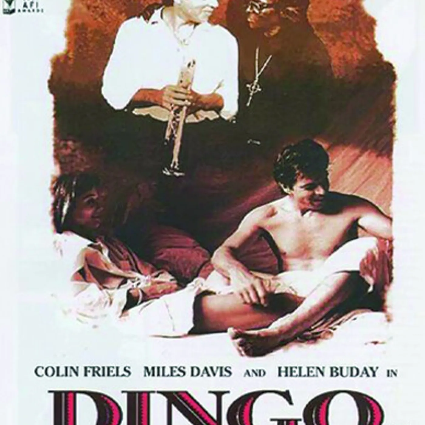 Dingo DVD
