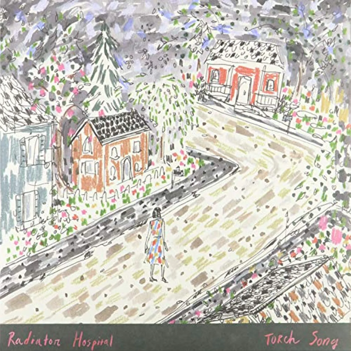 Radiator Hospital Torch Song Vinyl Record