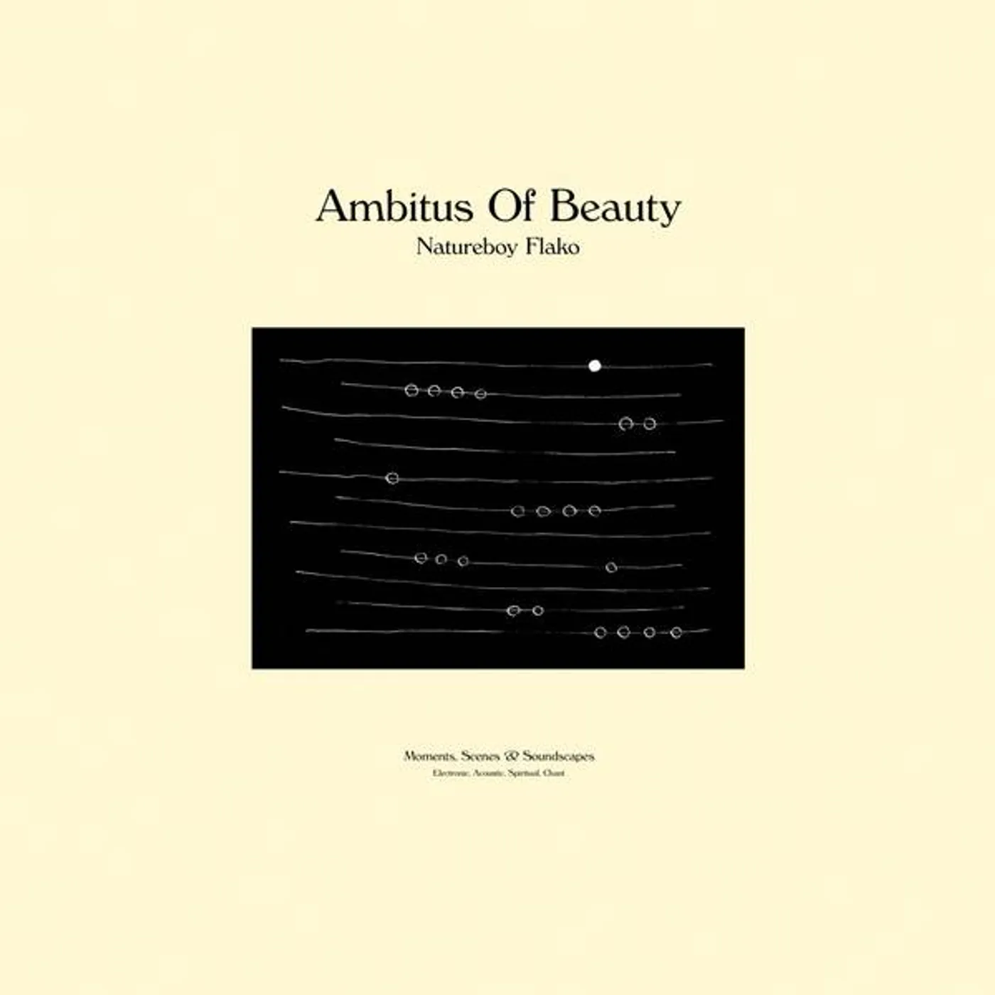 Natureboy Flako Ambitus of Beauty Vinyl Record