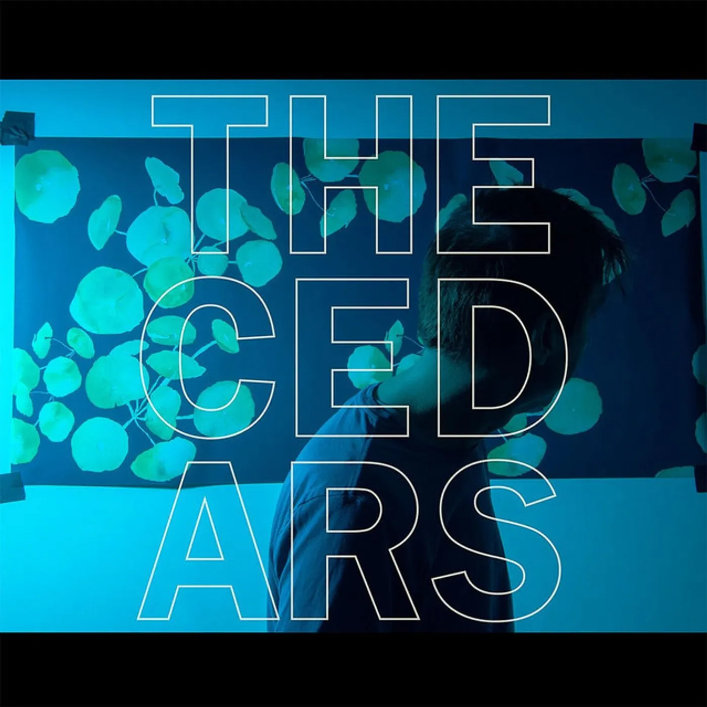 John Vanderslice CEDARS CD