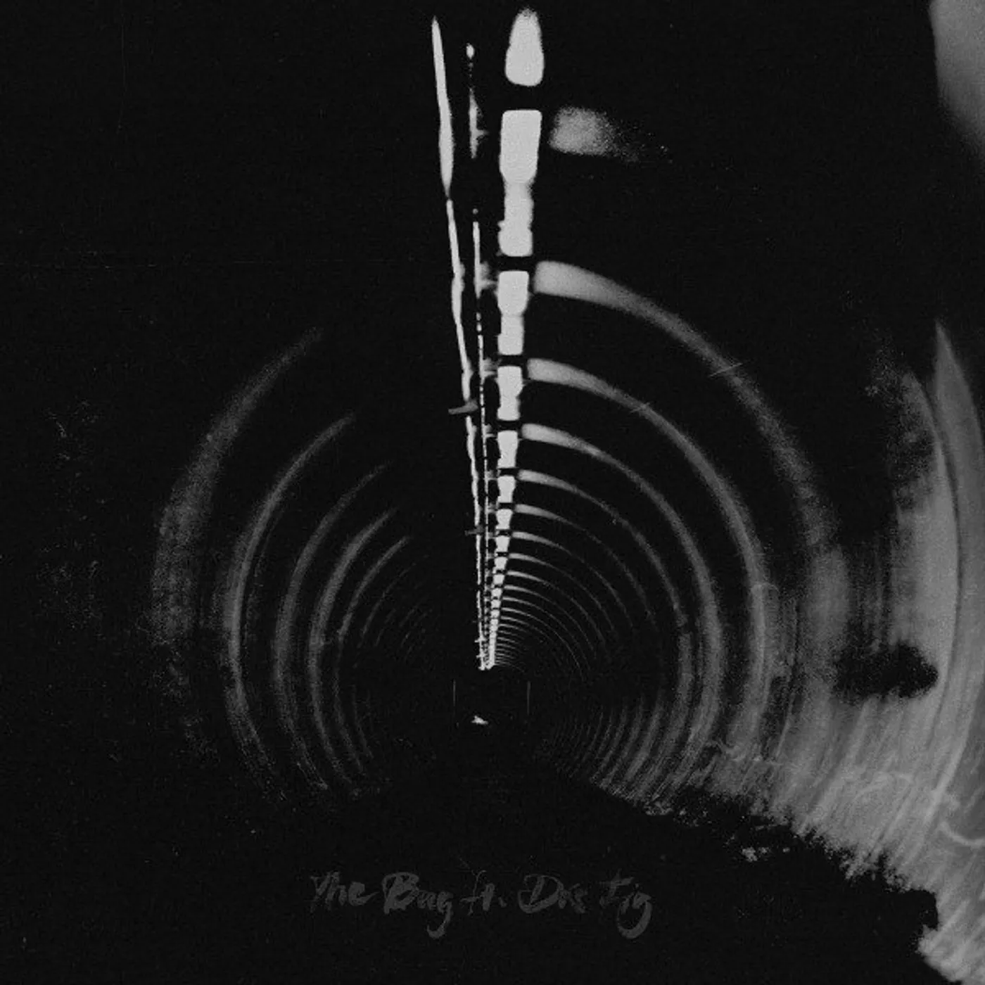 The Bug In Blue Vinyl Record