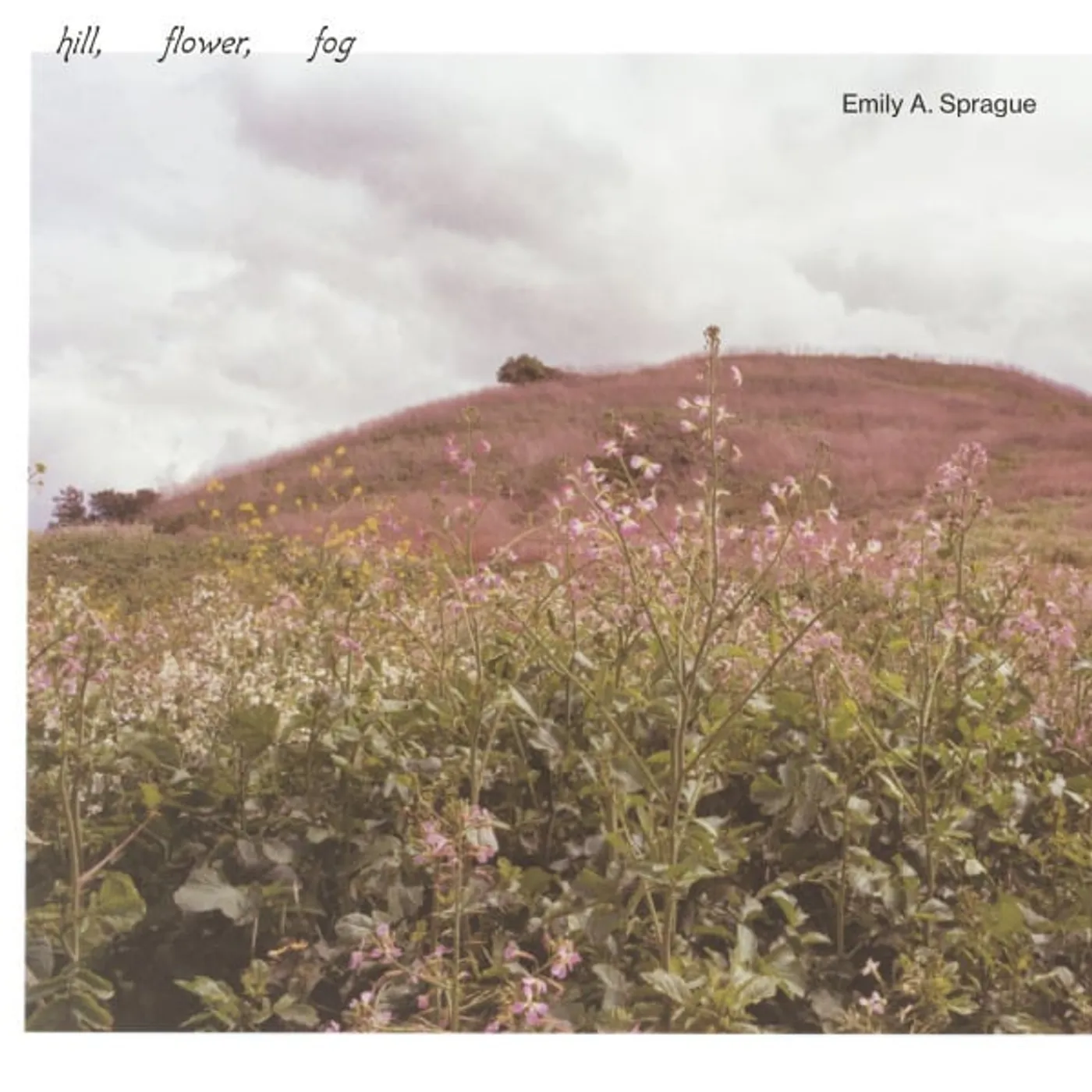 Emily A. Sprague HILL FLOWER FOG Vinyl Record