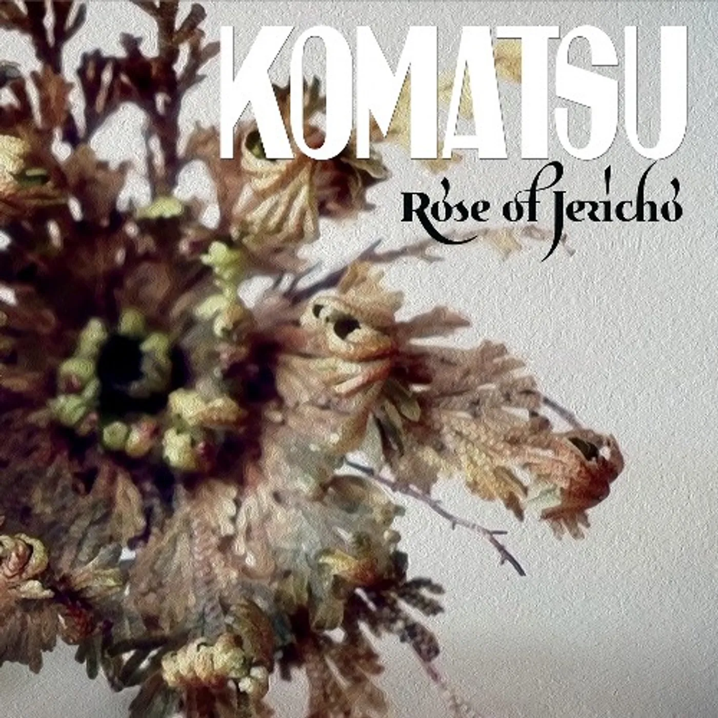 Komatsu Rose of Jericho Vinyl Record