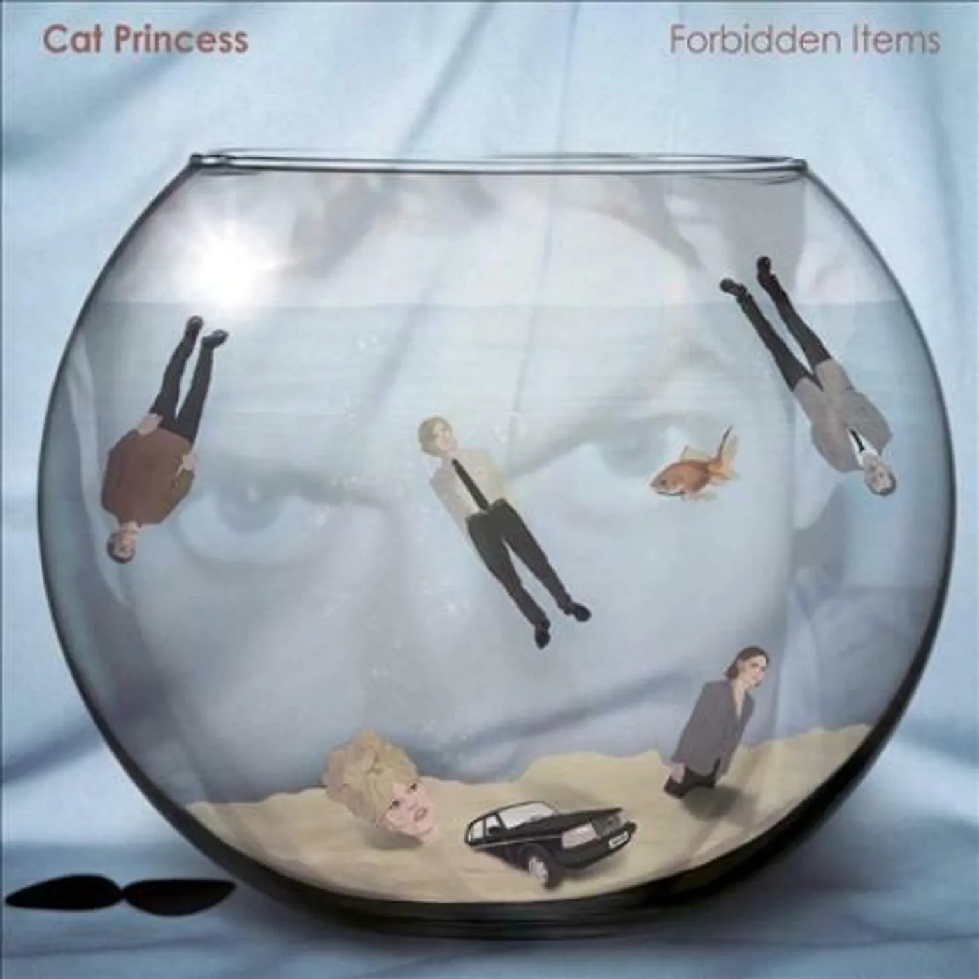Cat Princess Forbidden Items Vinyl Record