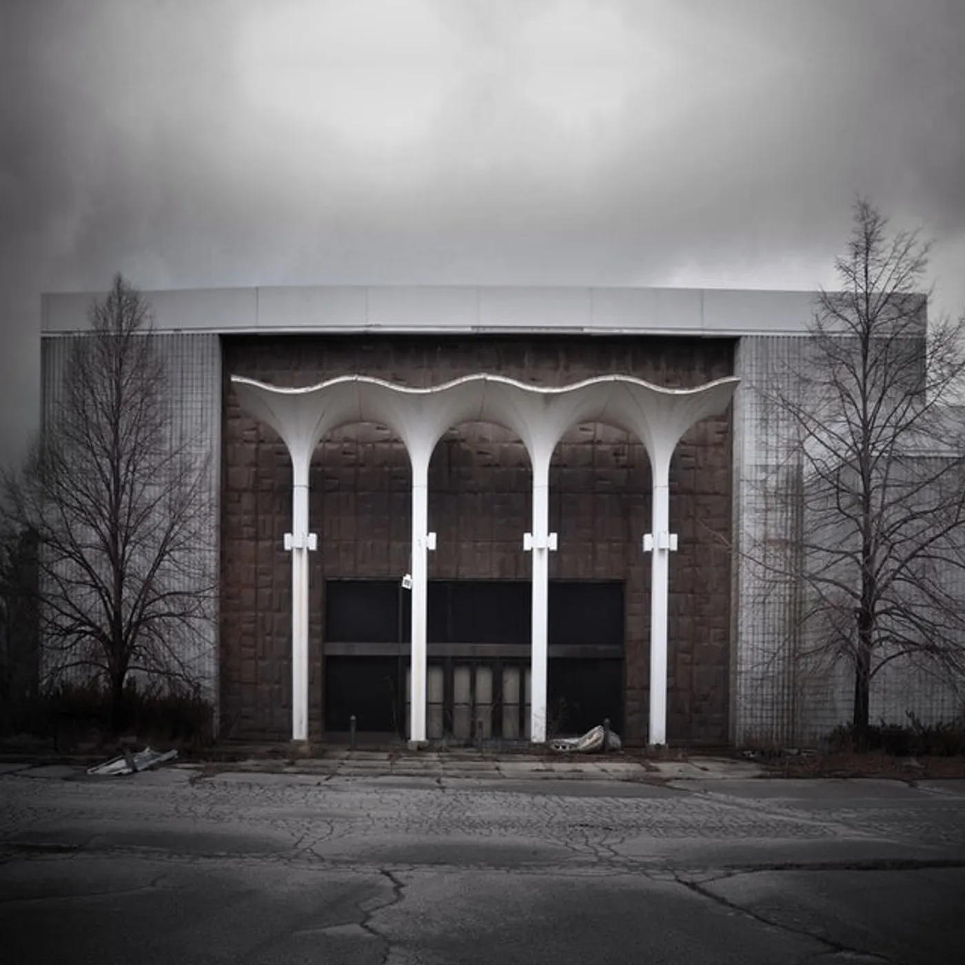 Princess Goes Thanks For Coming Vinyl Record