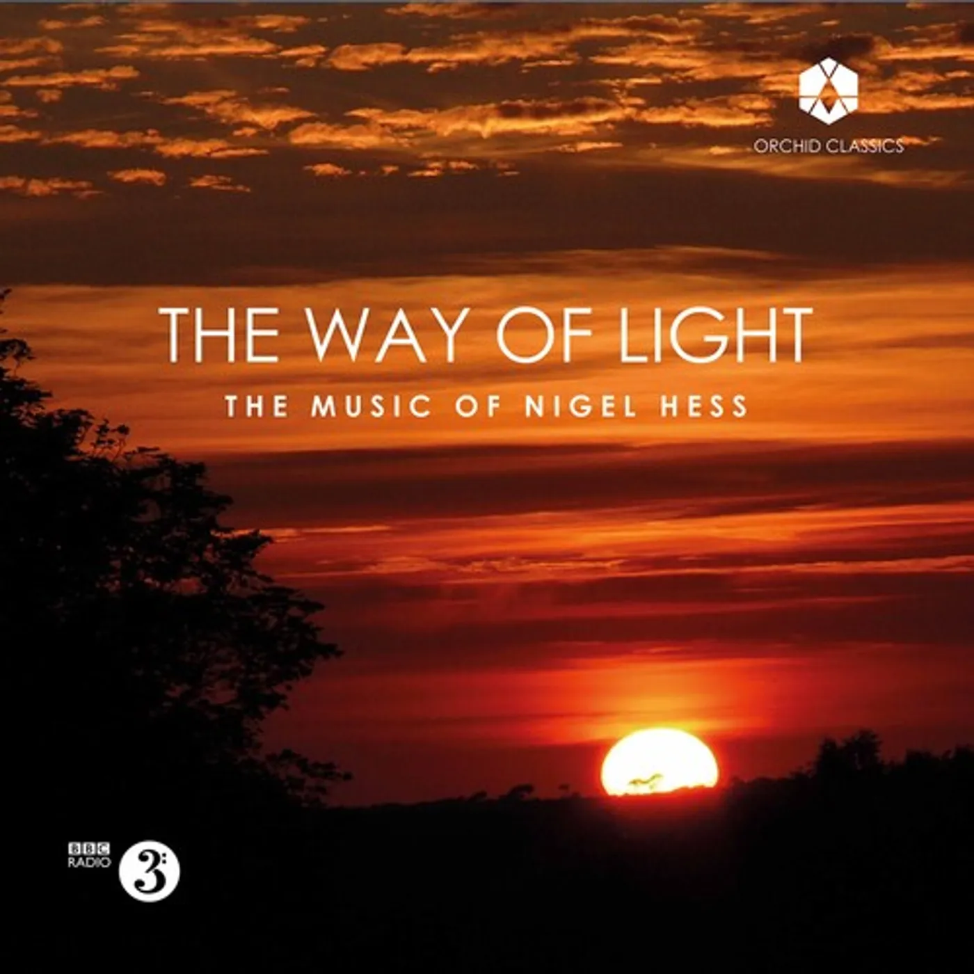 Hess WAY OF LIGHT CD