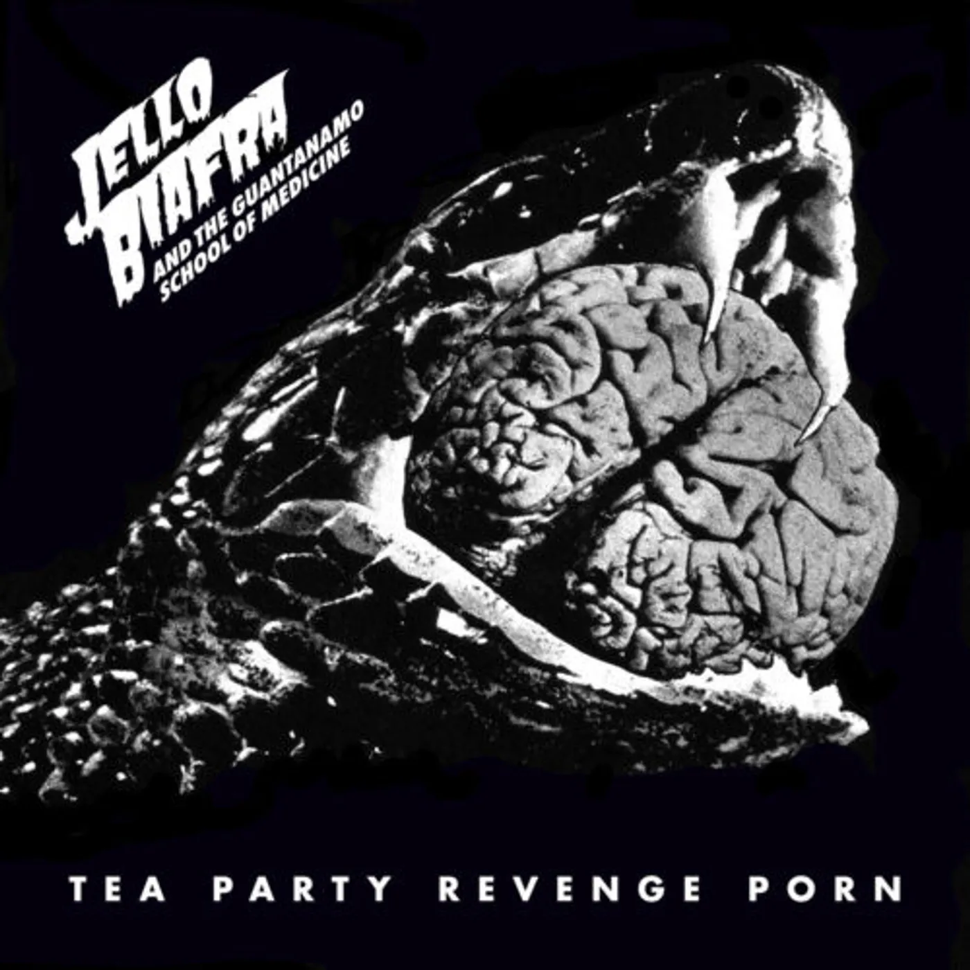 Jello Biafra & The Guantanamo School Of Medicine Tea Party Revenge Porn Vinyl Record