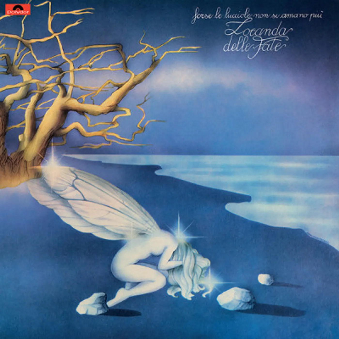 Locanda delle fate Forse Le Lucciole Non Si Amano Piu Vinyl Record