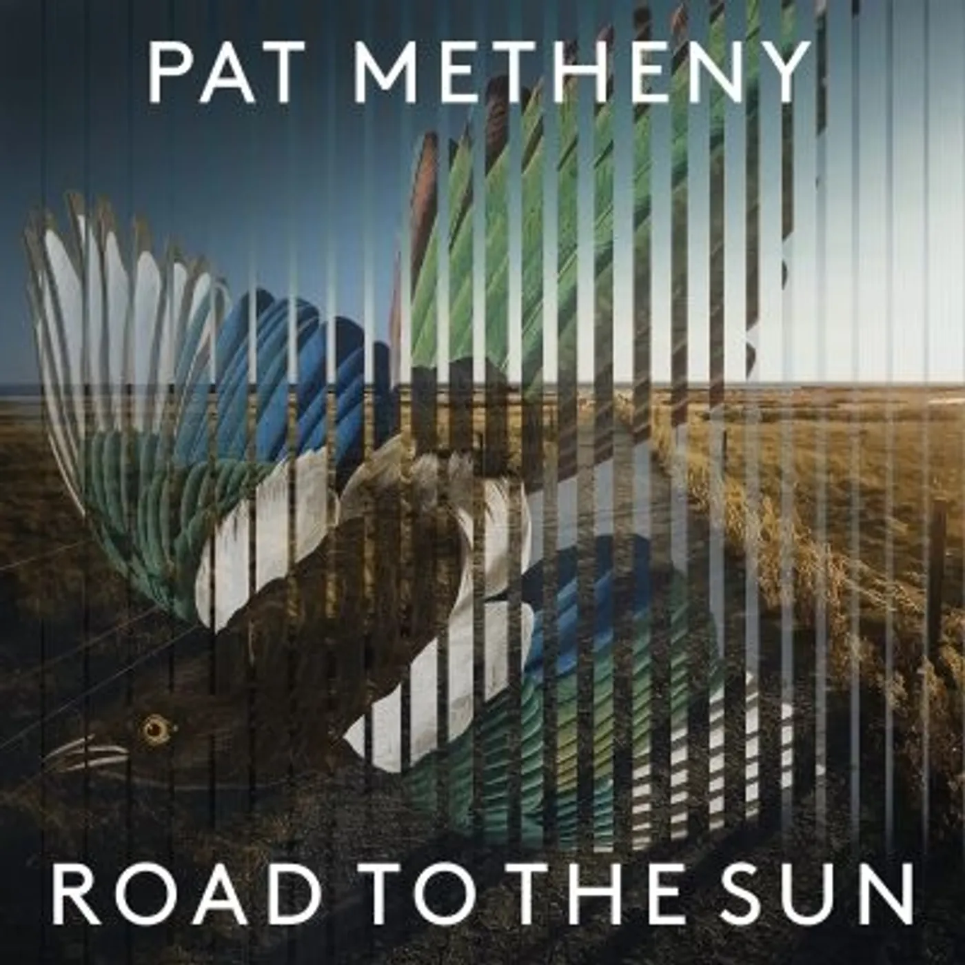 Pat Metheny Group Road to the Sun Vinyl Record