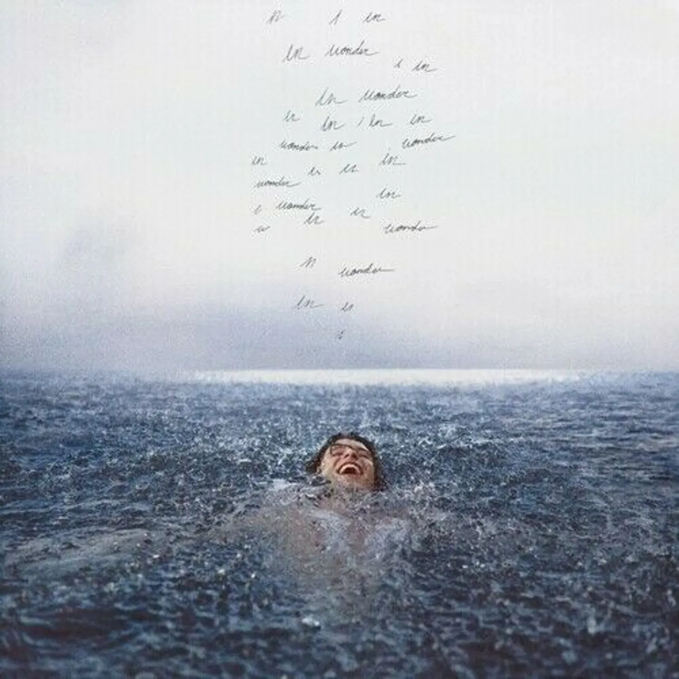 Shawn Mendes Wonder Vinyl Record