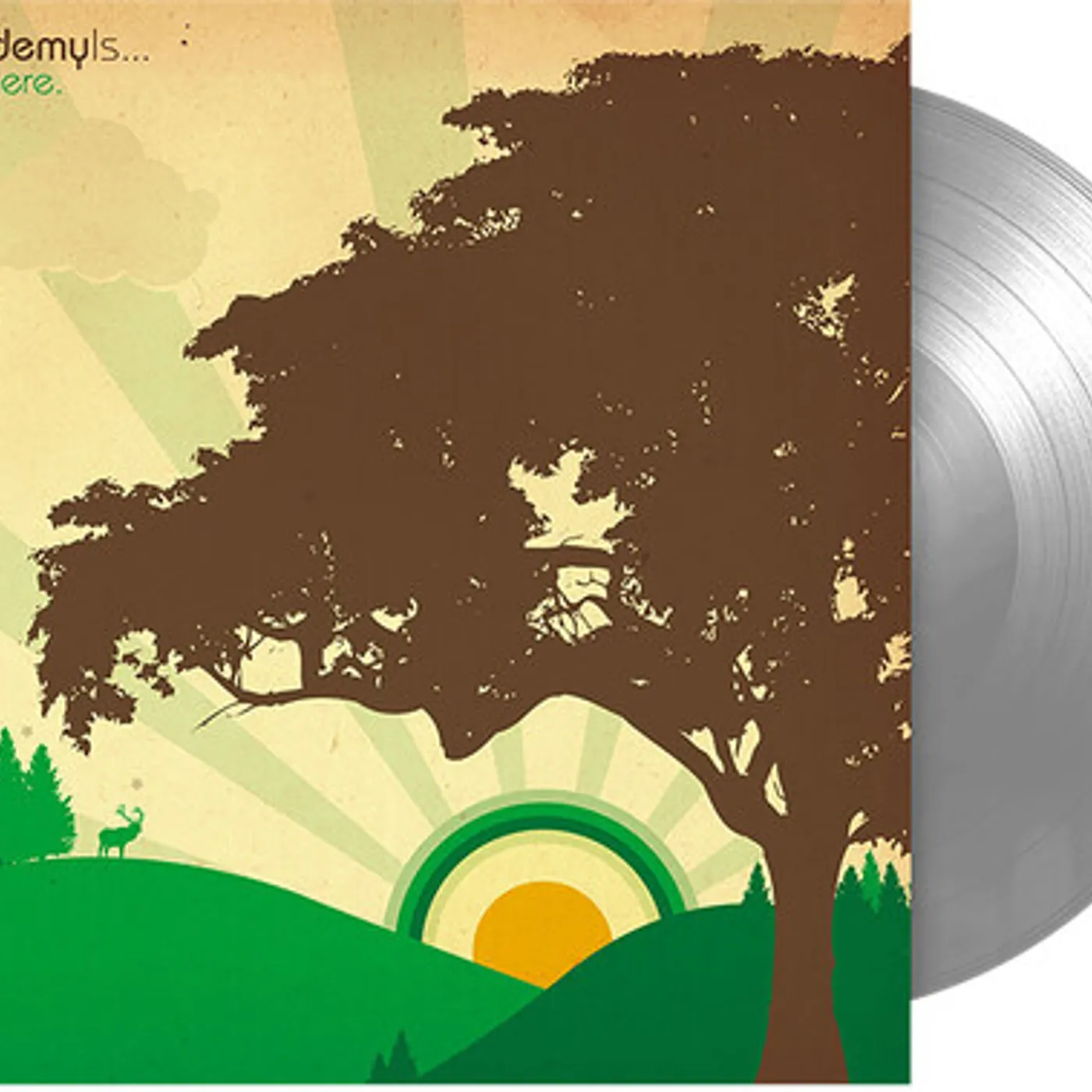 The Academy Is... Vinyl Record