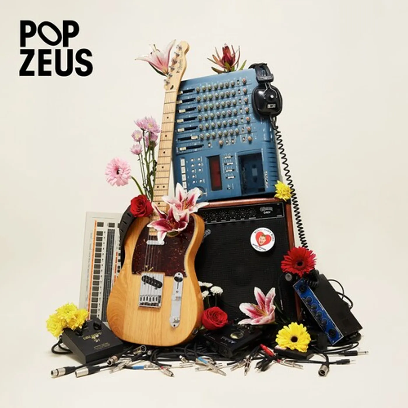Pop Zeus THIS DOESN'T FEEL LIKE HOME (UNRELEASED DEMOS 2011 Vinyl Record