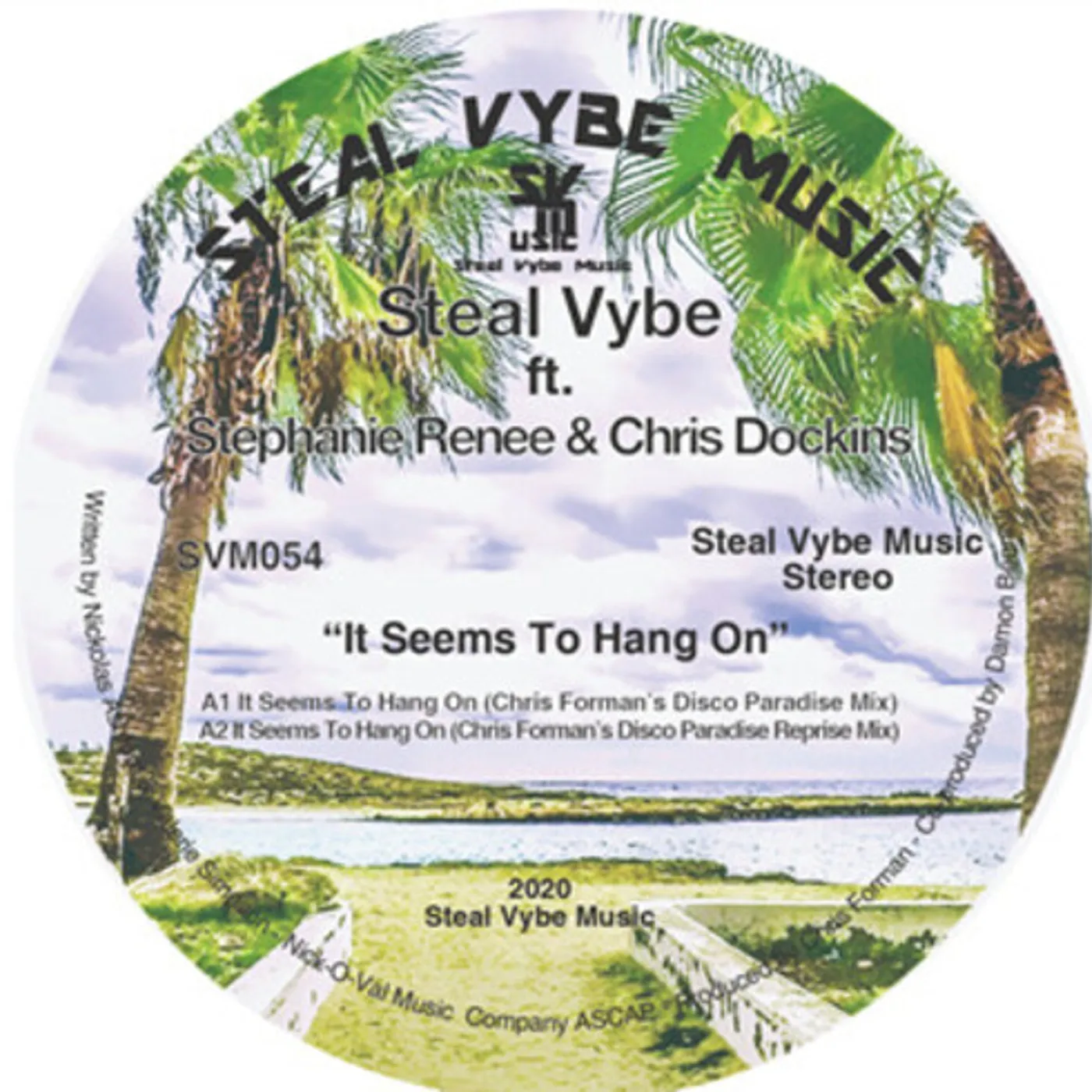 Steal Vybe It Seems To Hang On Vinyl Record