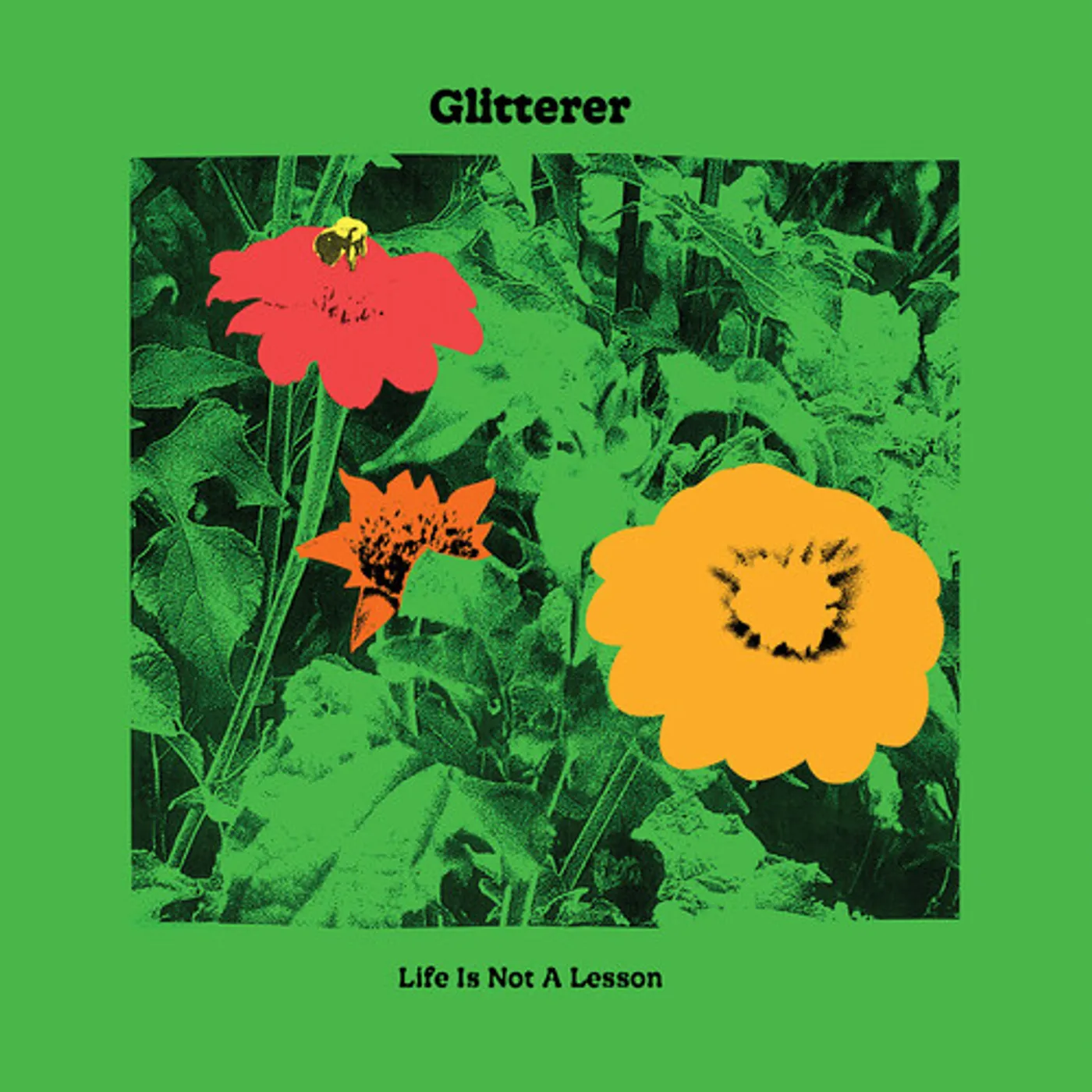 Glitterer LIFE IS NOT A LESSON - GREEN Vinyl Record
