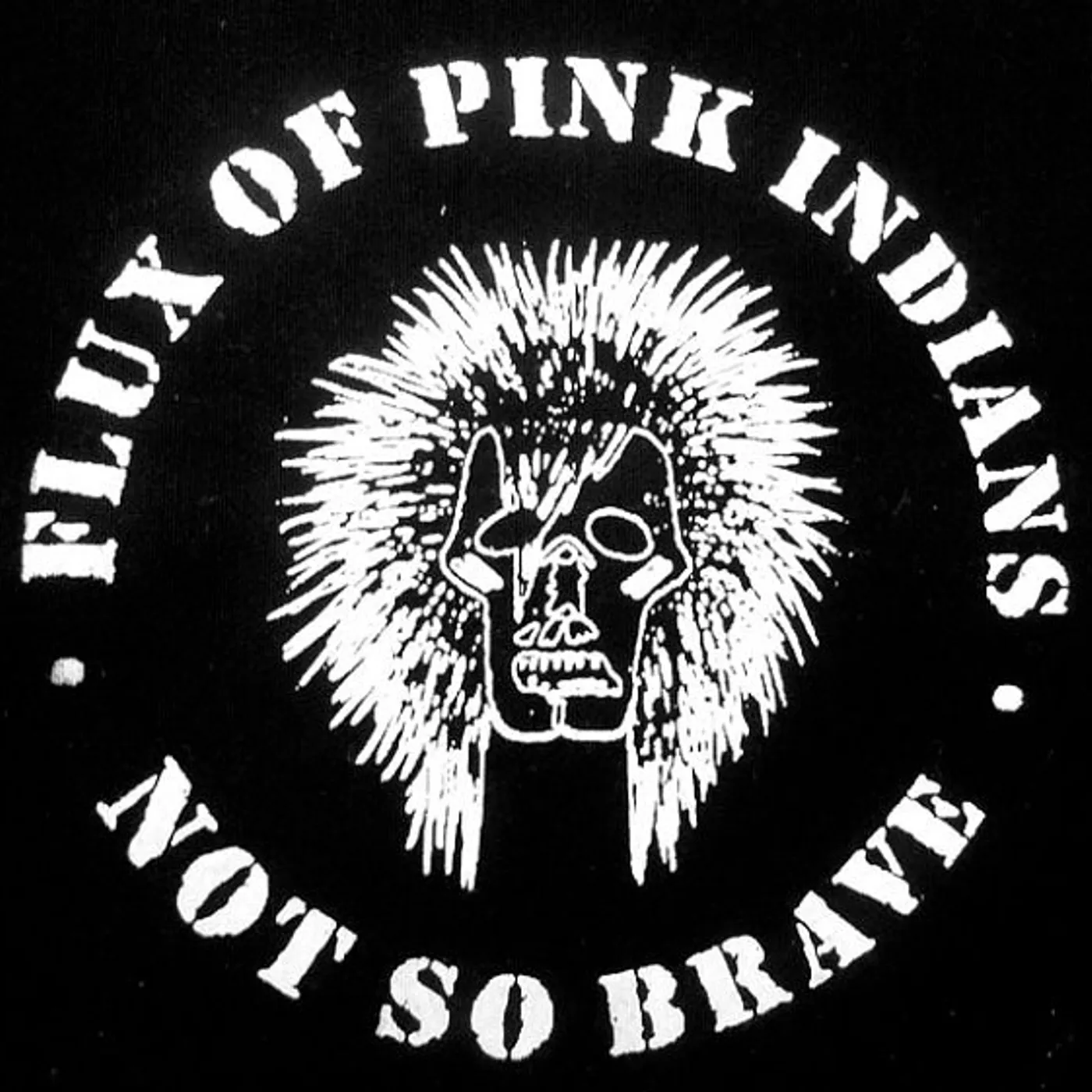 Flux of Pink Indians Not So Brave Vinyl Record