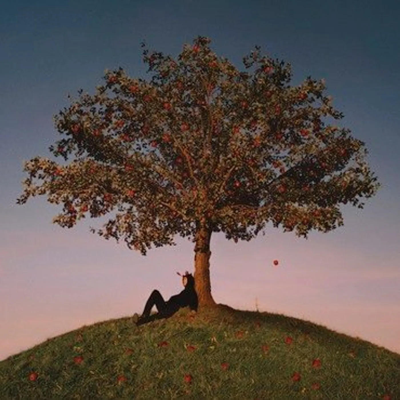 slowthai TYRON Vinyl Record
