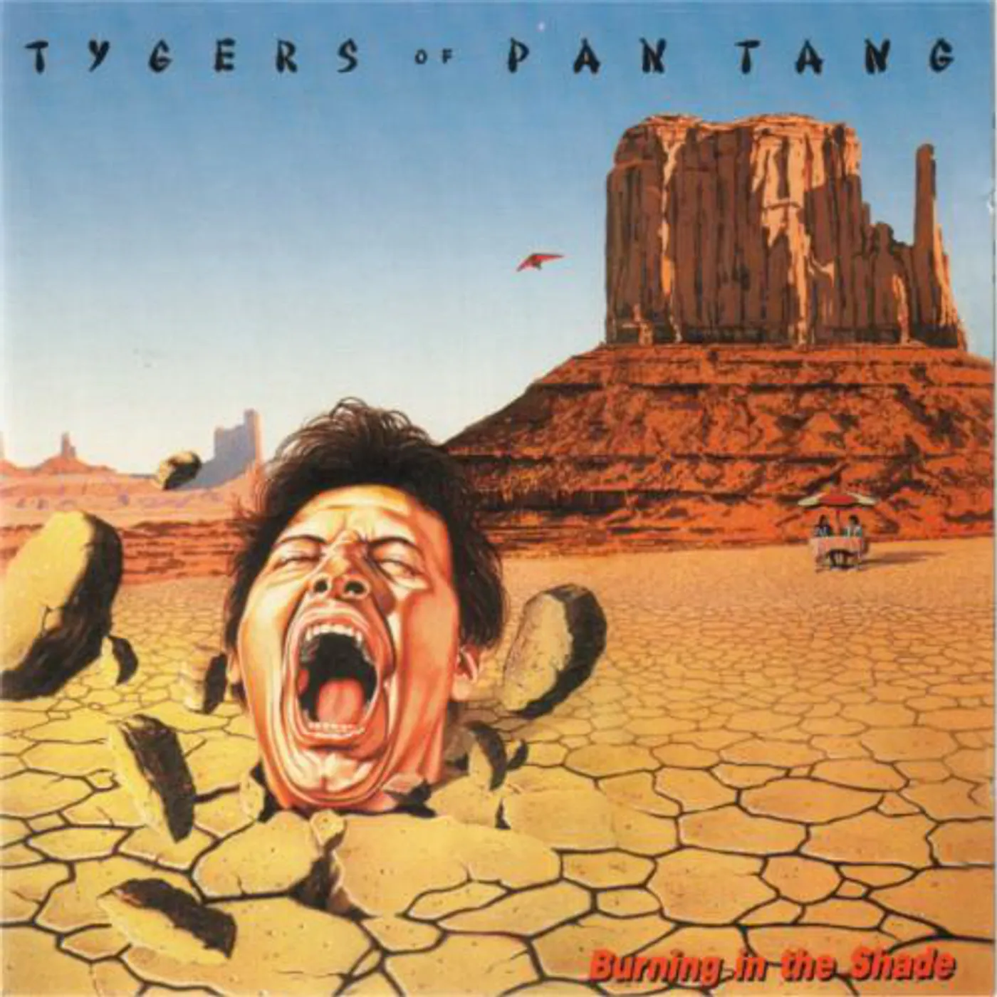 Tygers Of Pan Tang Burning in the Shade Vinyl Record