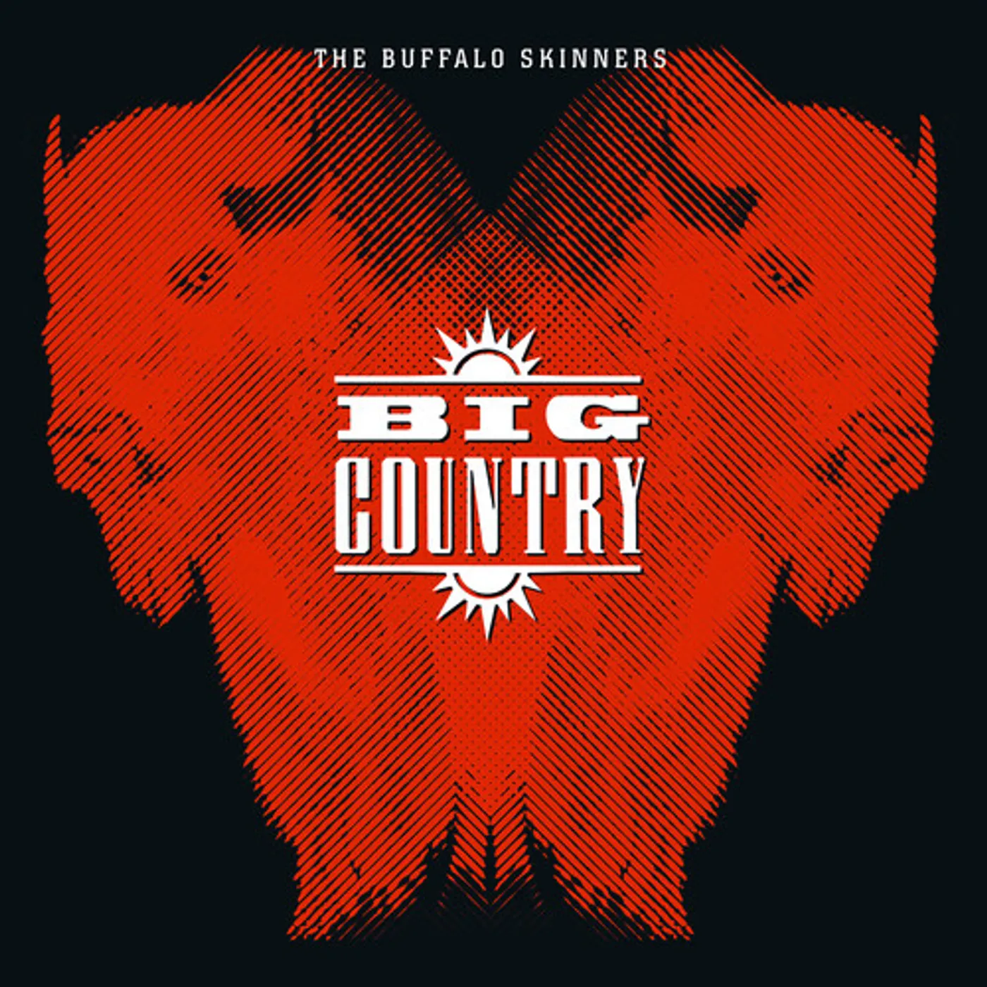Big Country BUFFALO SKINNERS Vinyl Record