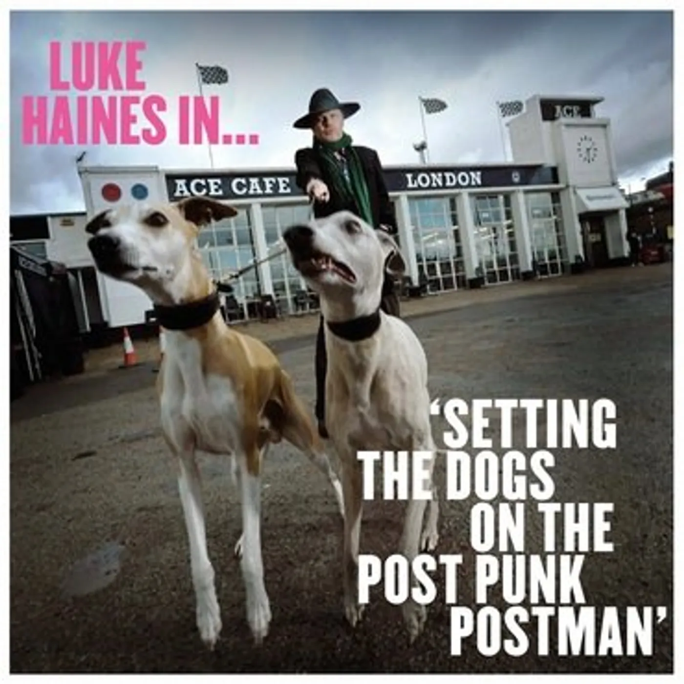 LUKE HAINES IN SETTING THE DOGS ON THE POST PUNK Vinyl Record