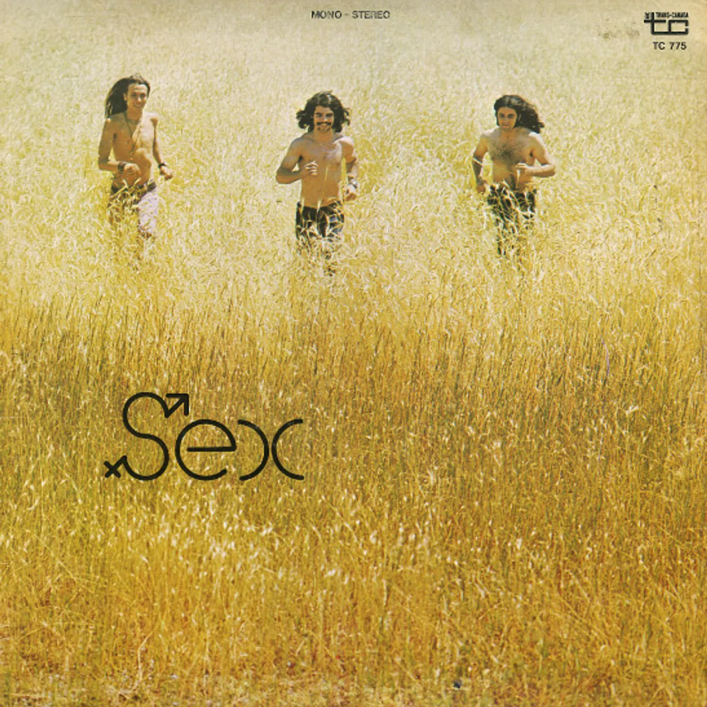 Sex Vinyl Record