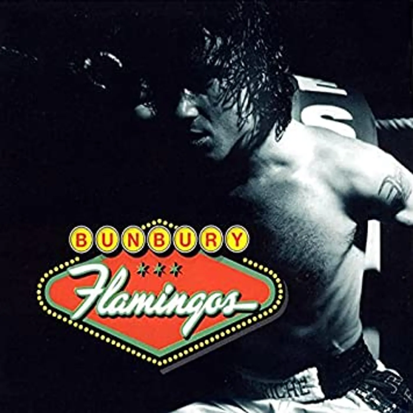 Bunbury Flamingos Vinyl Record