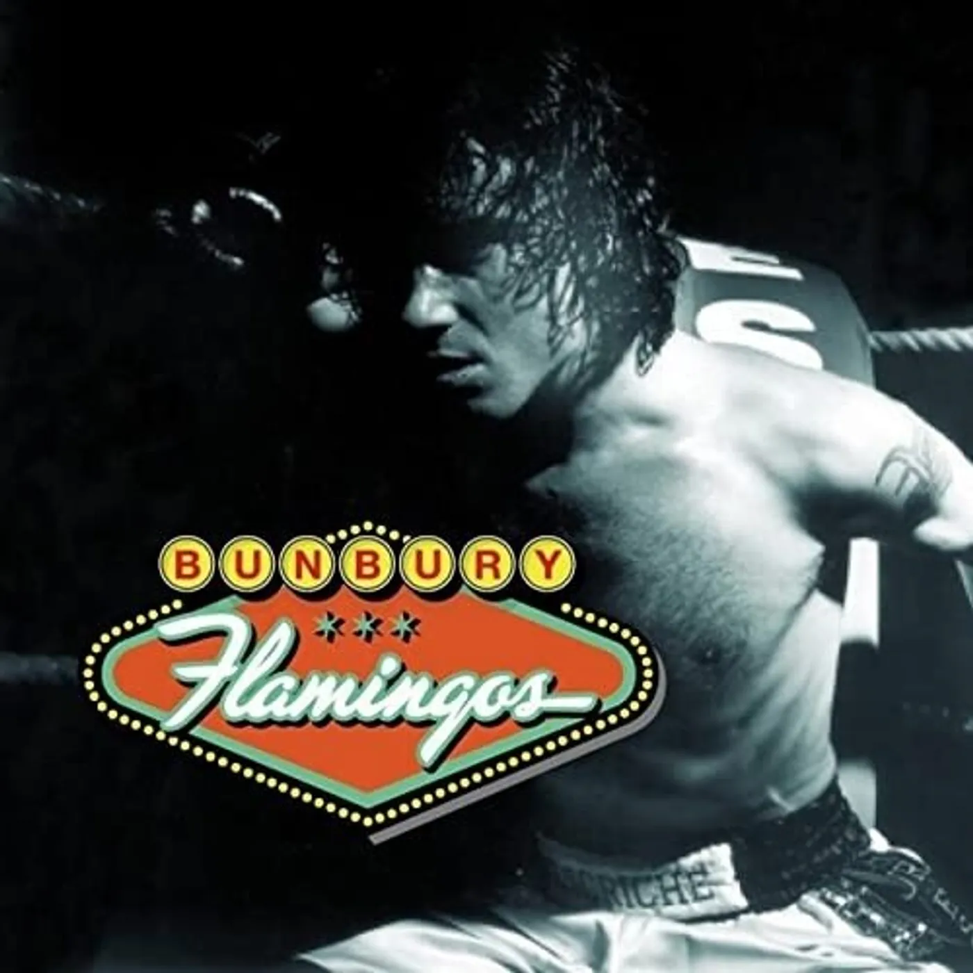 Bunbury Flamingos Vinyl Record
