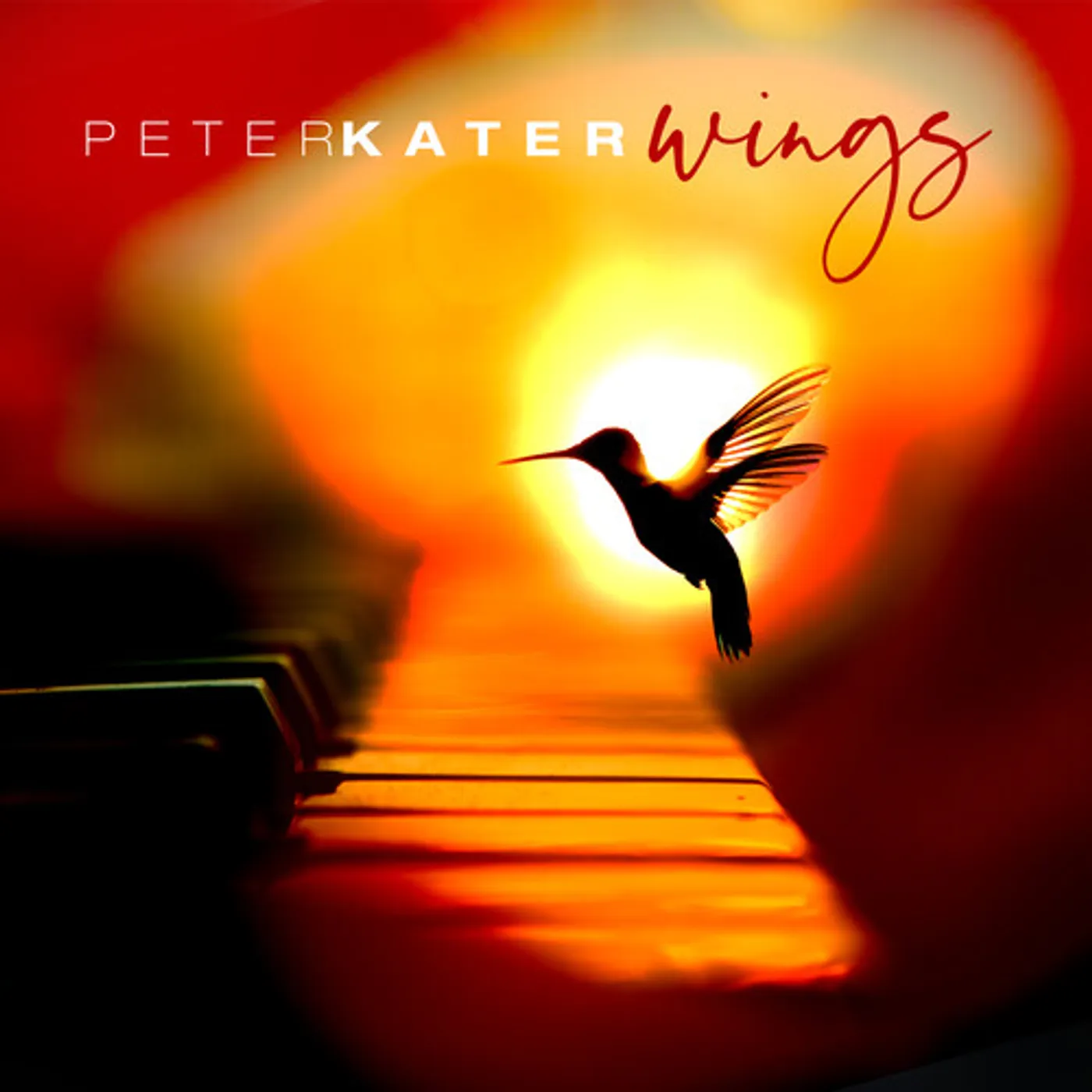 Peter Kater WINGS CD