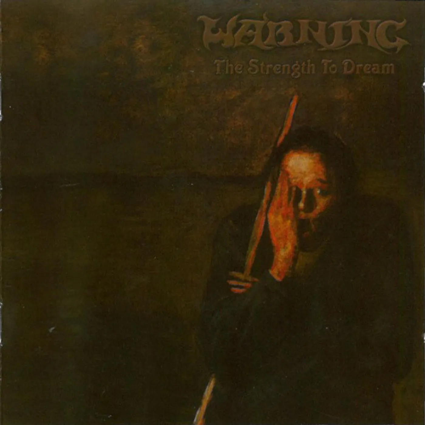 Warning STRENGTH TO DREAM Vinyl Record