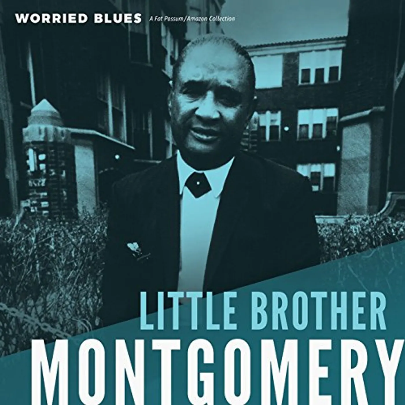 Little Brother Montgomery WORRIED BLUES Vinyl Record