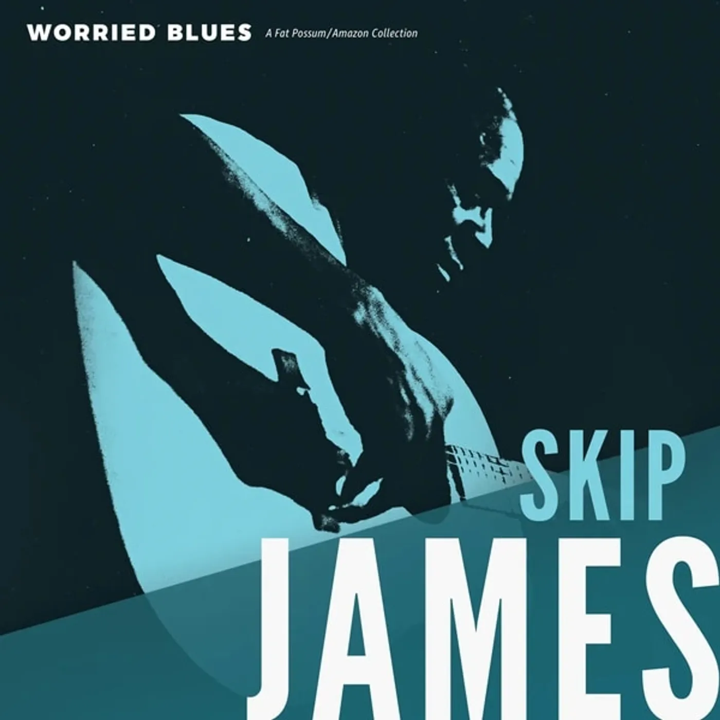 Skip James WORRIED BLUES Vinyl Record