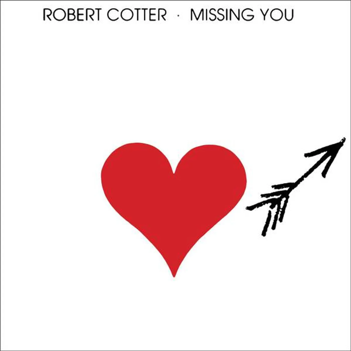 Robert Cotter Missing You Vinyl Record