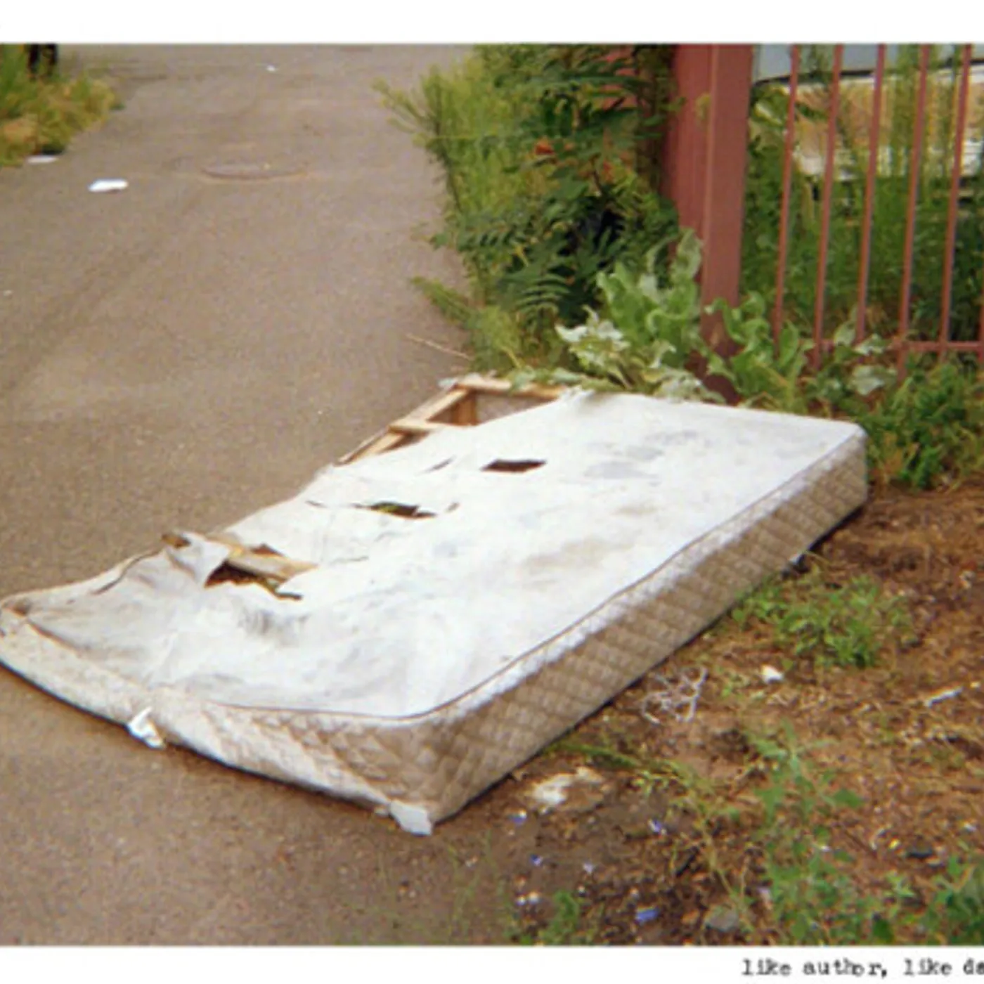 Midwife LIKE AUTHOR LIKE DAUGHTER Vinyl Record