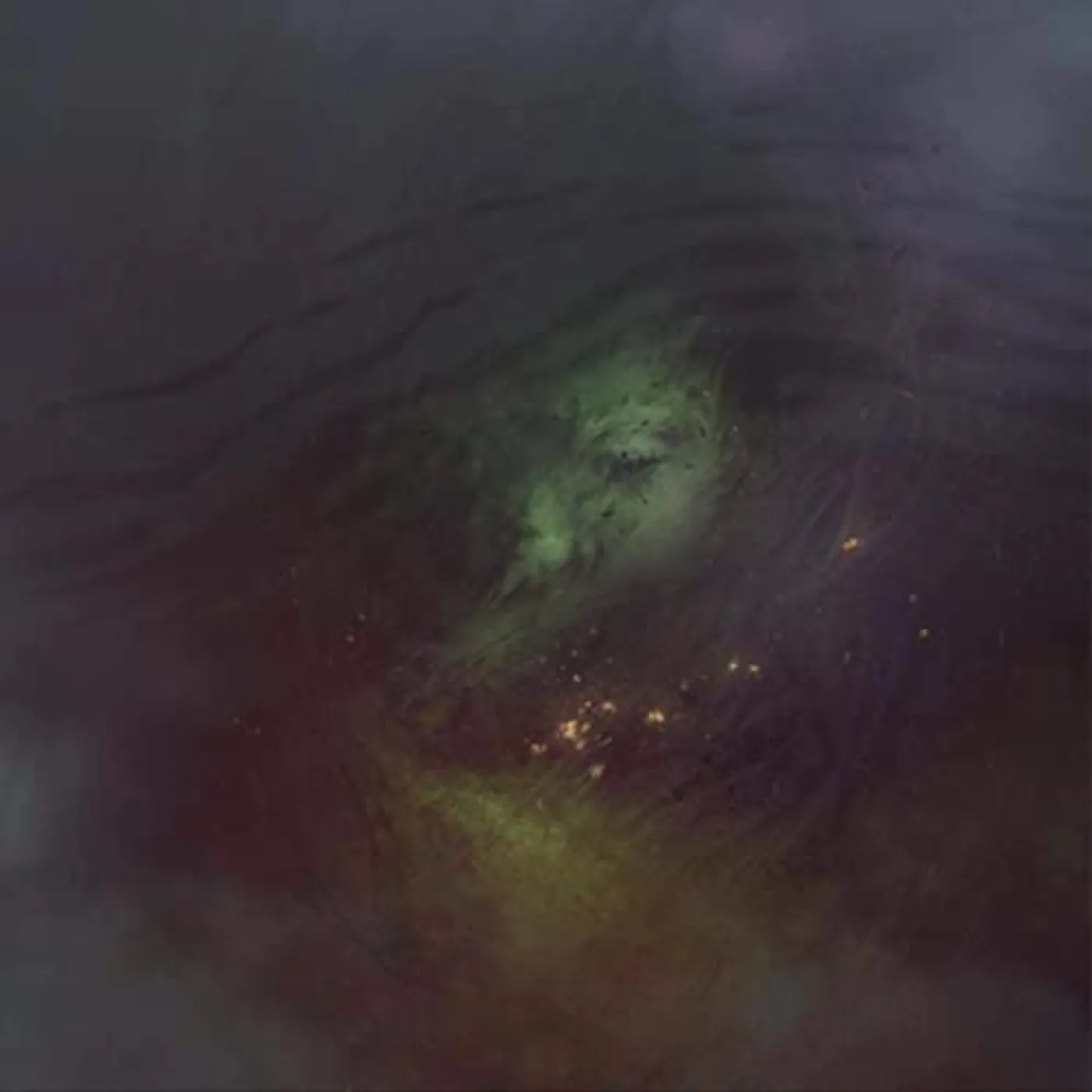 Serial Hawk BURIED IN THE GRAY Vinyl Record