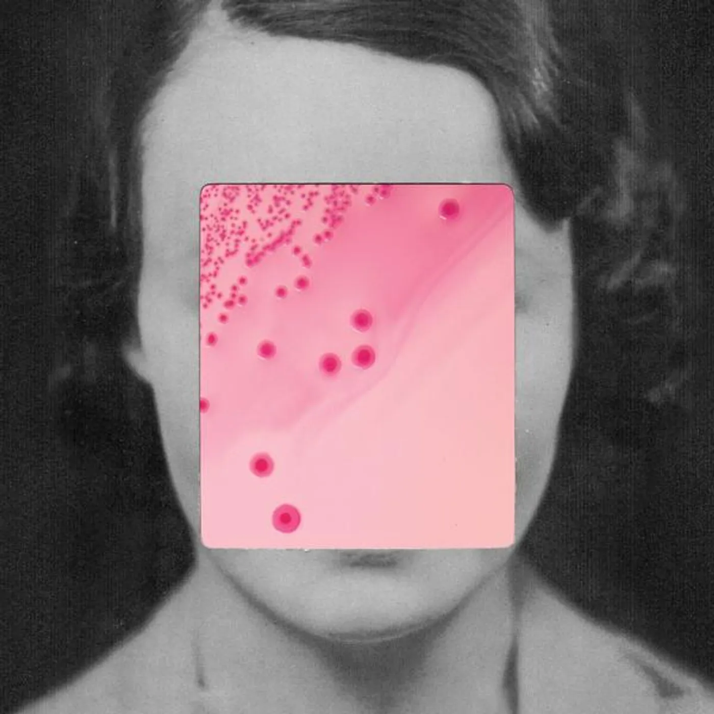 Heligoland This Quiet Fire Vinyl Record