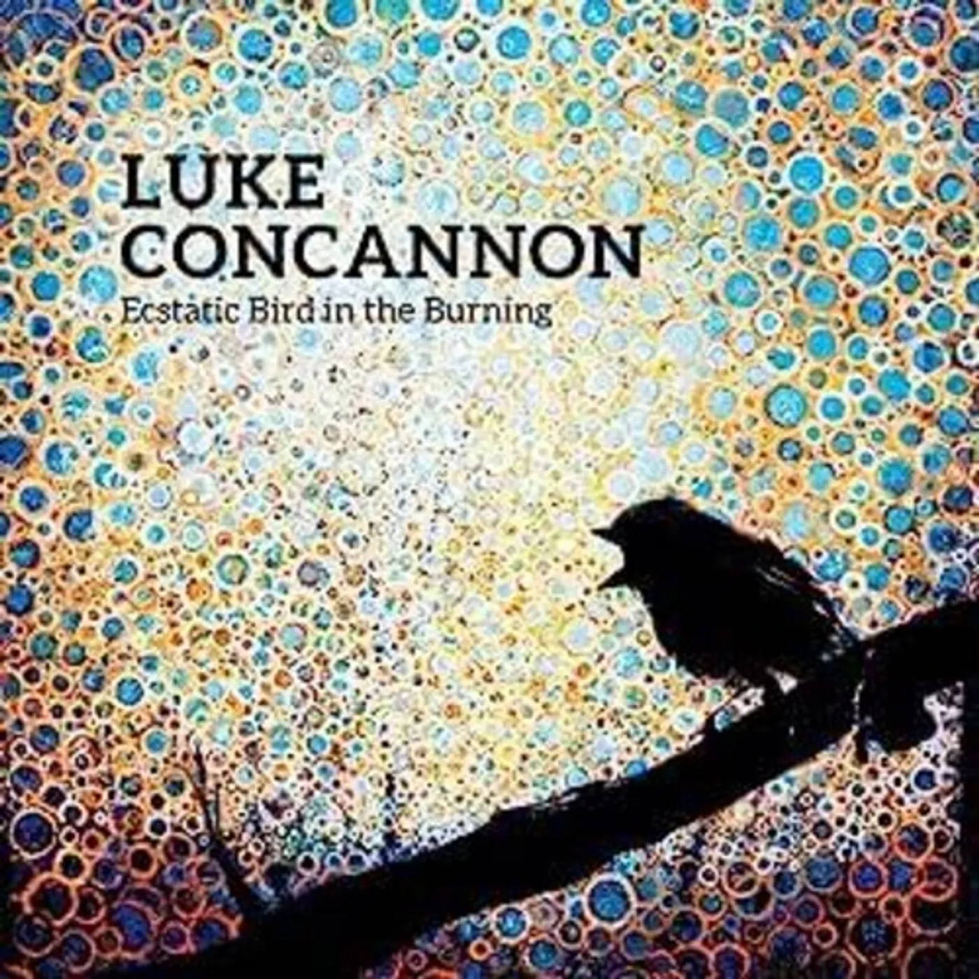 Luke Concannon ECSTATIC BIRD IN THE BURNING CD