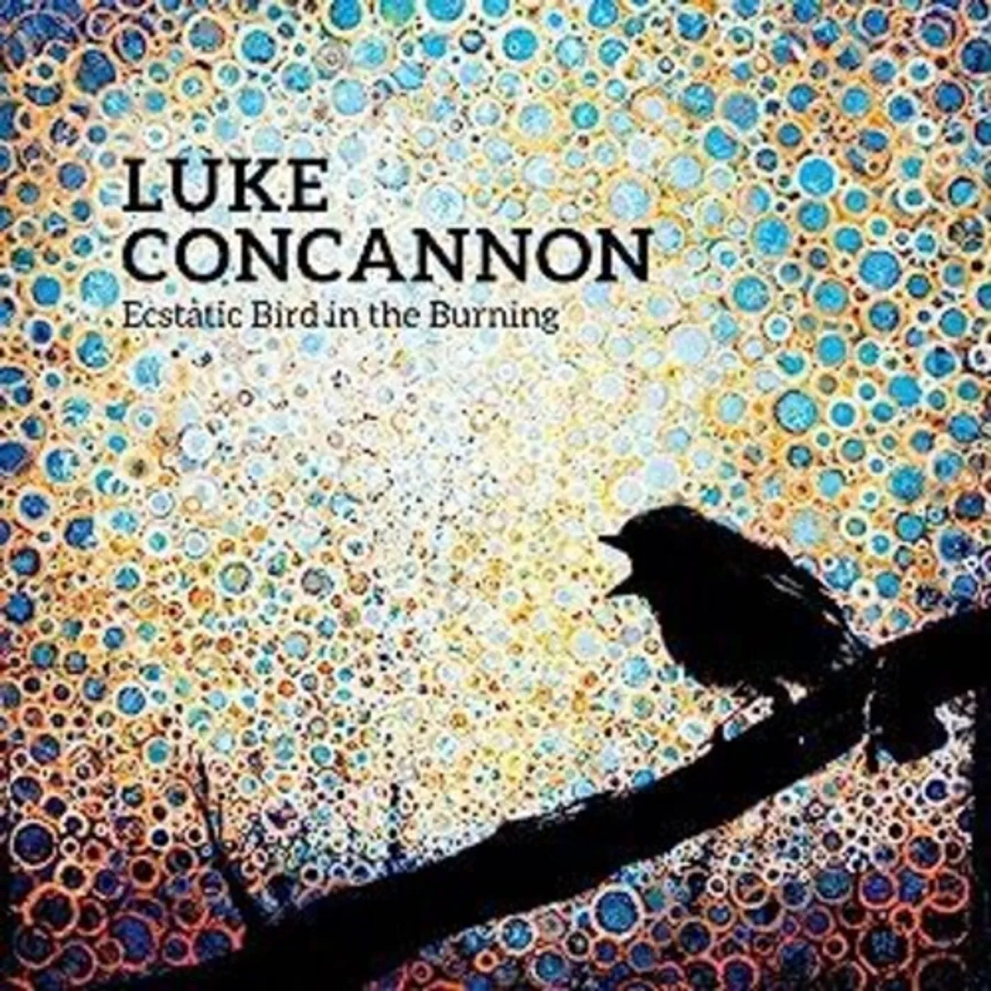 Luke Concannon Ecstatic Bird in the Burning Vinyl Record