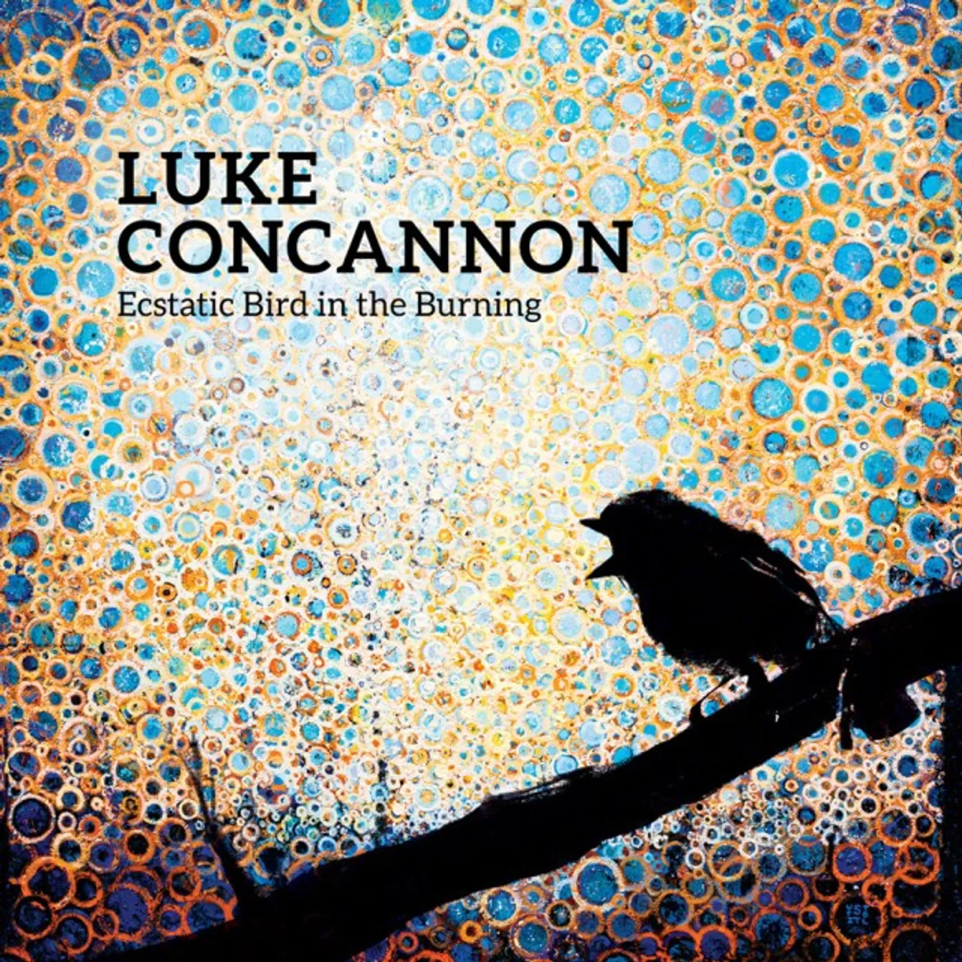 Luke Concannon Ecstatic Bird in the Burning Vinyl Record