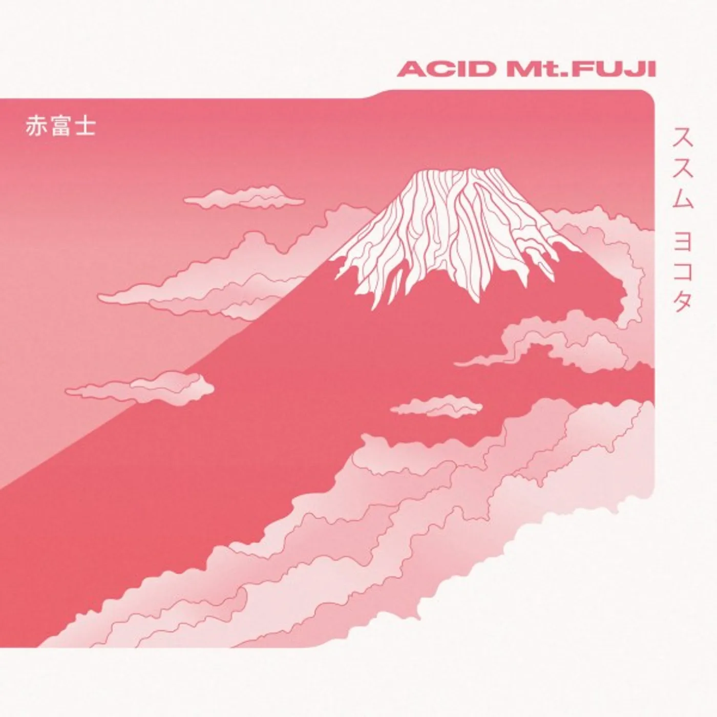 Susumu Yokota ACID MT FUJI Vinyl Record