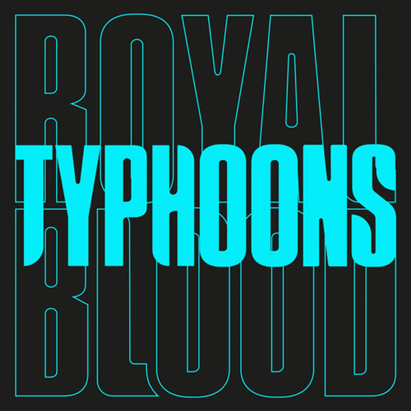 Royal Blood Typhoons Vinyl Record